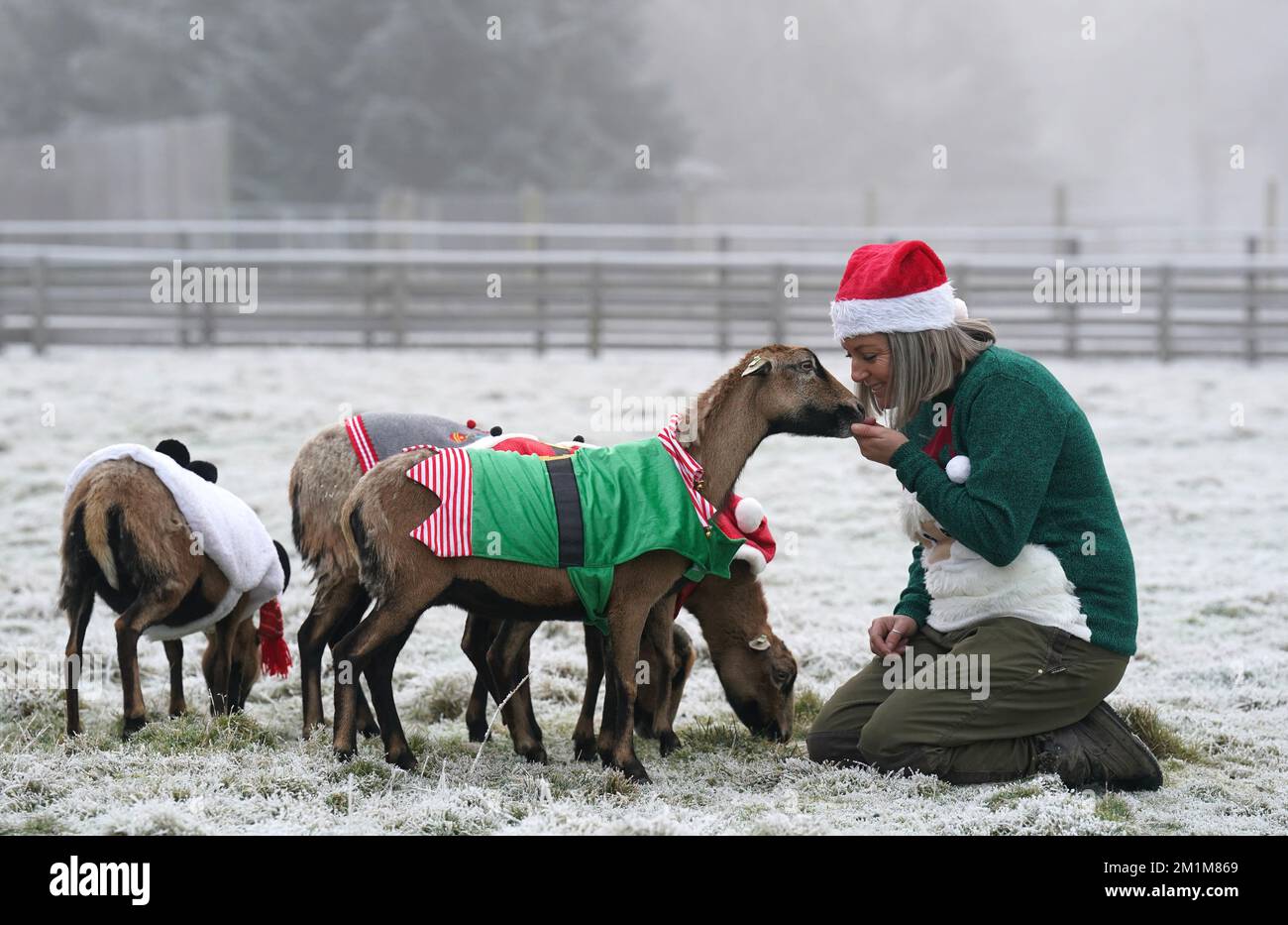 Pets Farm Keeper Carolyn Booth at Blair Drummond Safari Park feeds