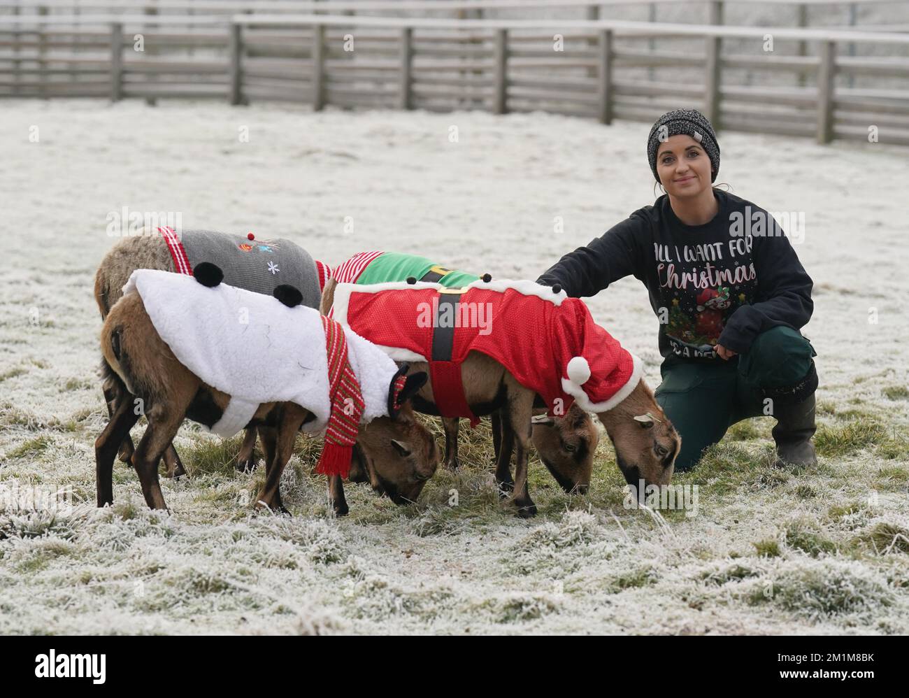 Pets Farm Keeper Kristine Fennessy Alexander at Blair Drummond Safari
