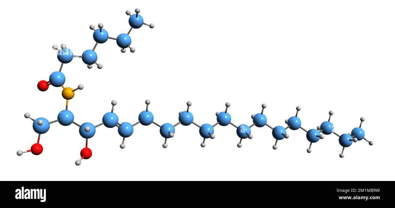 3D image of C6 Ceramide skeletal formula - molecular chemical structure of  phosphatidylcholine isolated on white background Stock Photo