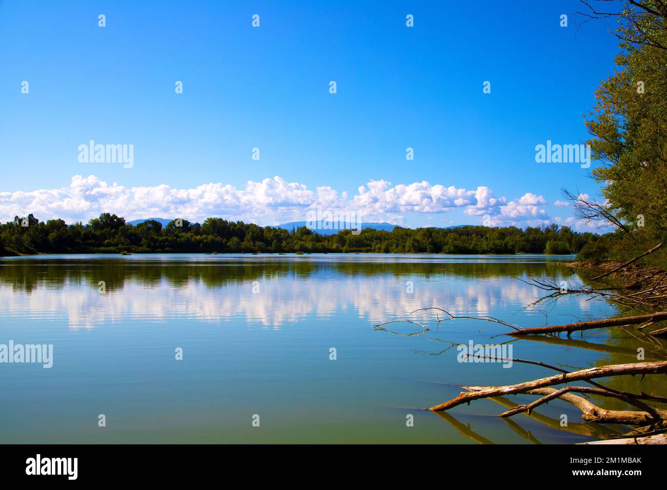 landscape of the Taro Regional River Park, lake of the chiesuole Parma Italy Stock Photo