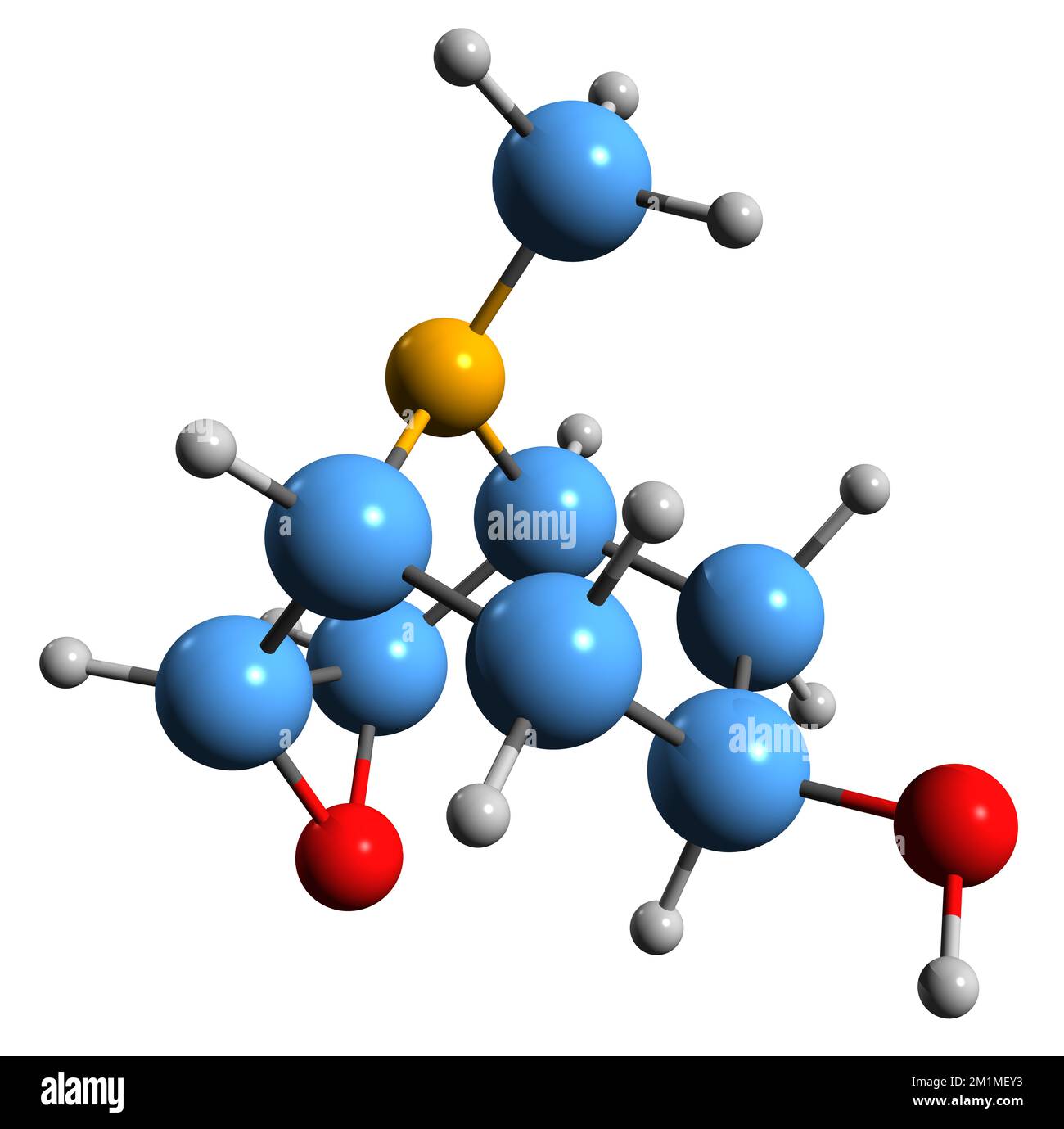 3D image of Scopine skeletal formula - molecular chemical structure of Mandragora tropane alkaloid isolated on white background Stock Photo