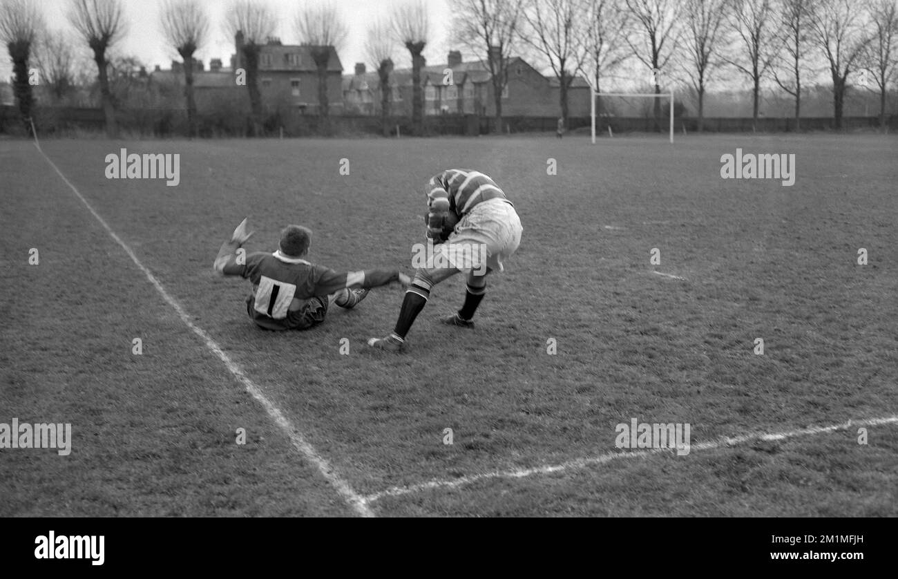 1950s, historical, a rugby union player in hooped shirt shielding the ball by the touchline, having taken if off his opponent, a forward with the number one on his jersey who is on the ground, in a game between two amateur clubs, Wasps FC v Wimbledon RFC, London, England, UK. Wimbledon Hornets - as they were  called then - were one of the 21 original members of the Rugby Football Union (RFU) founded in 1871. Although founded a few years earlier in 1867, Wasps Football Club (Wasps FC)  for reasons not entirely clear, did not become a founding member of the RFU but became members in 1872. Stock Photo