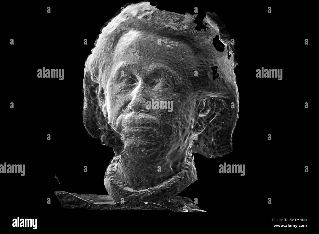 Symbolbild: CGI-Visualisierung: Portrait Albert Einstein (nur fuer redaktionelle Verwendung. Keine Werbung. Referenzdatenbank: http://www.360-berlin.d Stock Photo