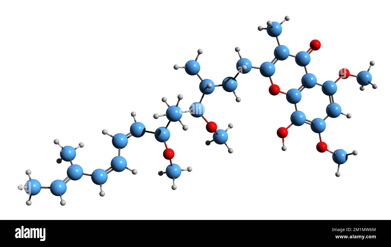 Enzyme Molecule Structure
