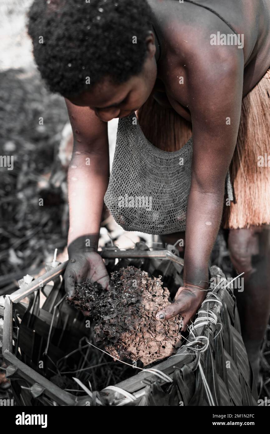 Korowai tree house hires stock photography and images Alamy