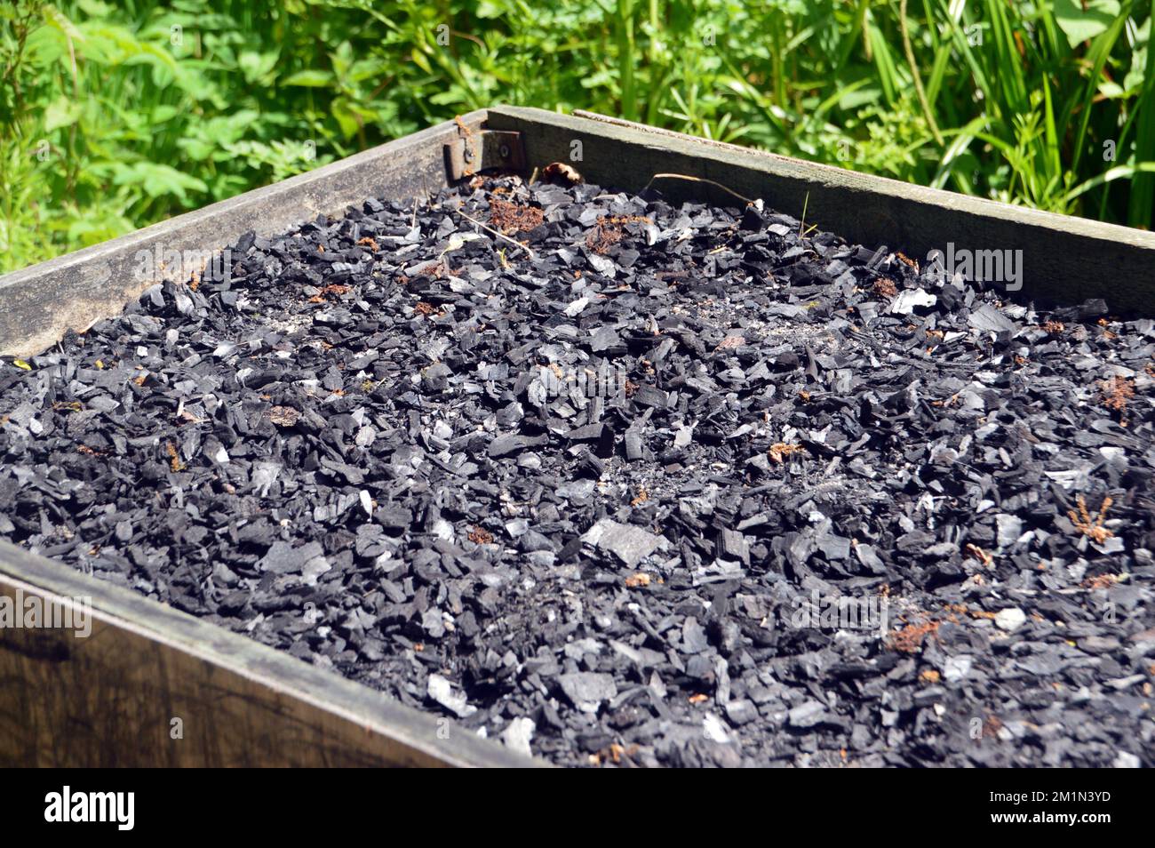 Small Lumps of Charcoal by the Charcoal Kiln in the Woods by the