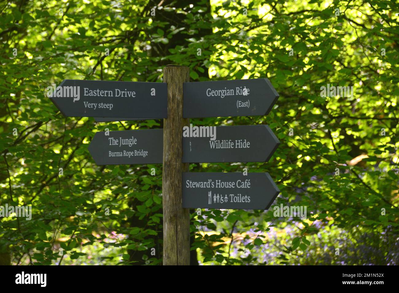 Wooden Signpost in the Woods at at the Lost Gardens of Heligan, St