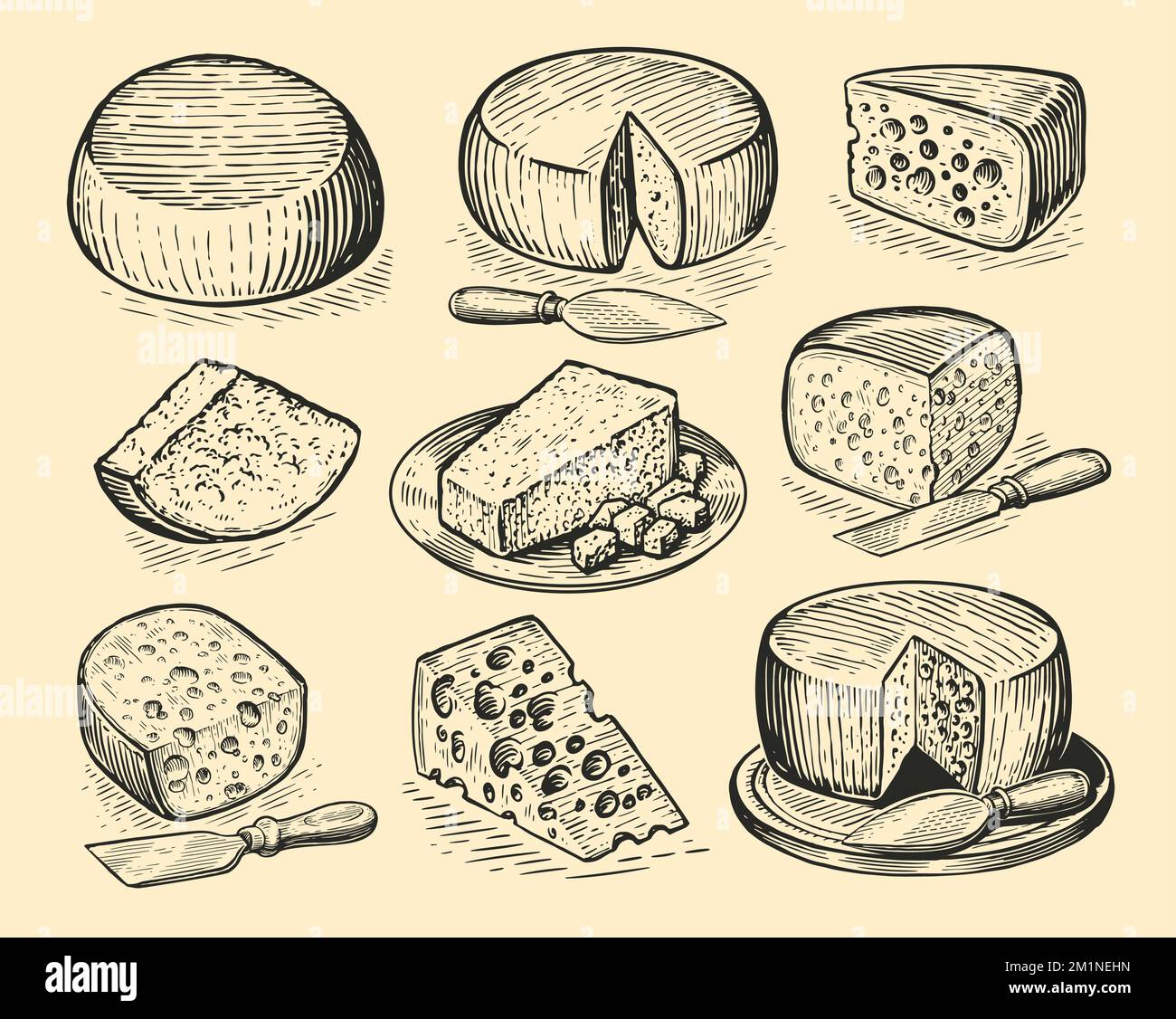 Cheesemaking various types of cheese set. Dairy food collection. Vector ...