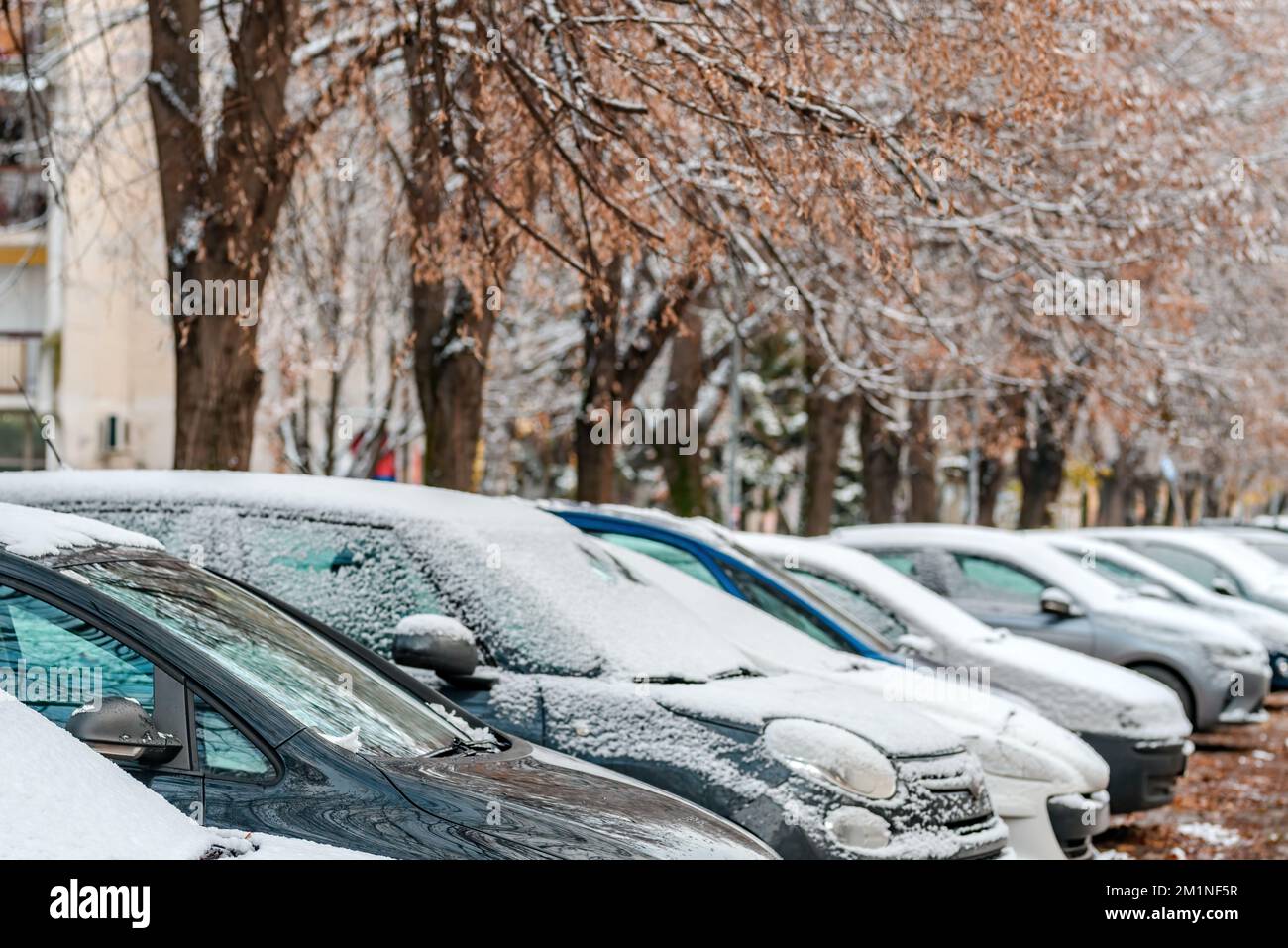 Cars under first snow of the winter on parking lot in residential ...