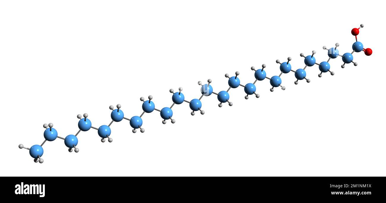 3D image of Lignoceric acid skeletal formula - molecular chemical structure of Tetracosanoic acid isolated on white background Stock Photo