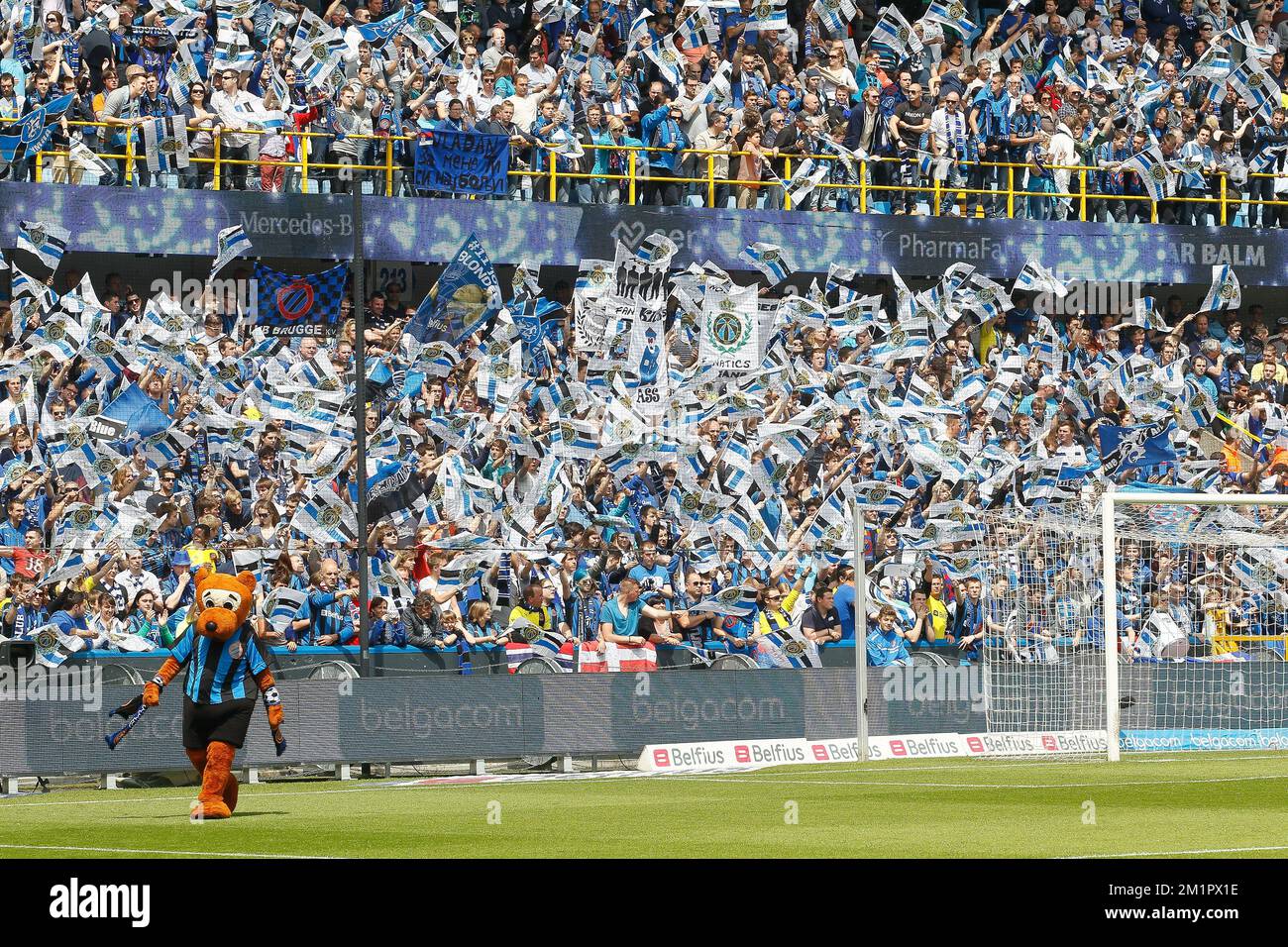 Fans and supporters of Brugge pictured during a soccer game