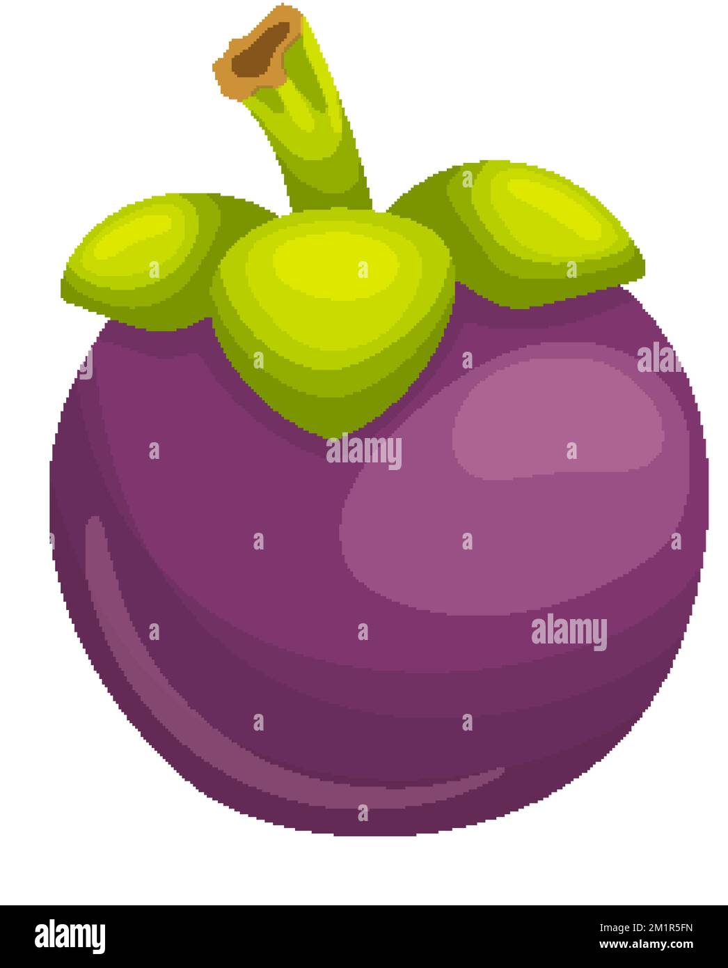 mangosteen fruit cartoon vector illustration Stock Vector Image & Art