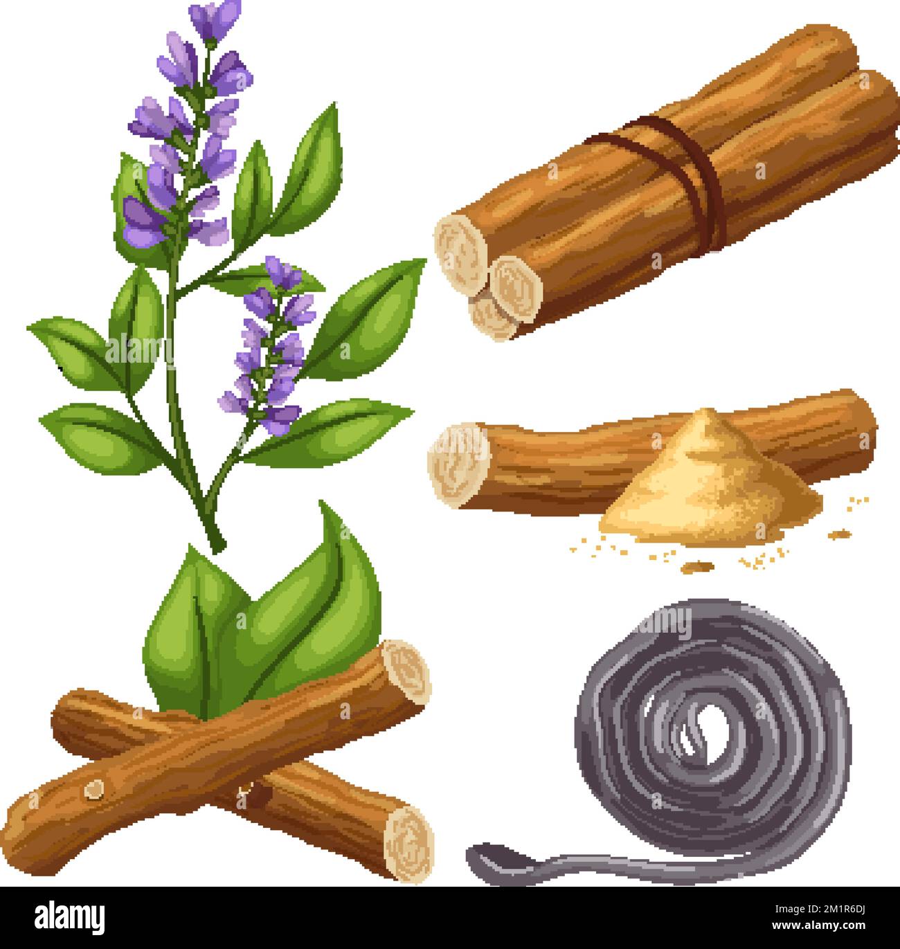 licorice liquorice root food set cartoon vector illustration Stock Vector