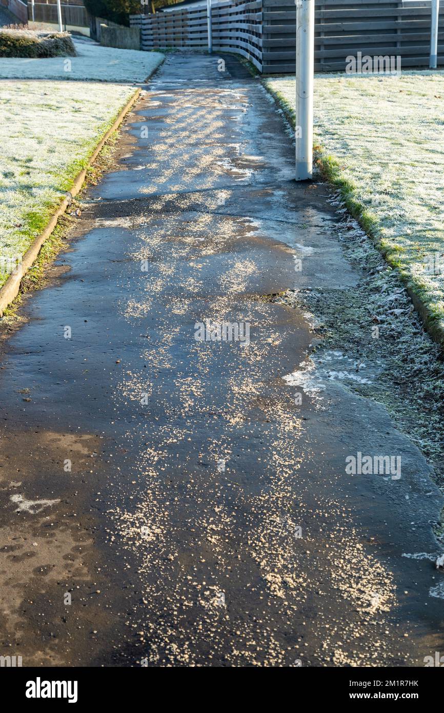 A recently gritted pavement with frost around it Stock Photo