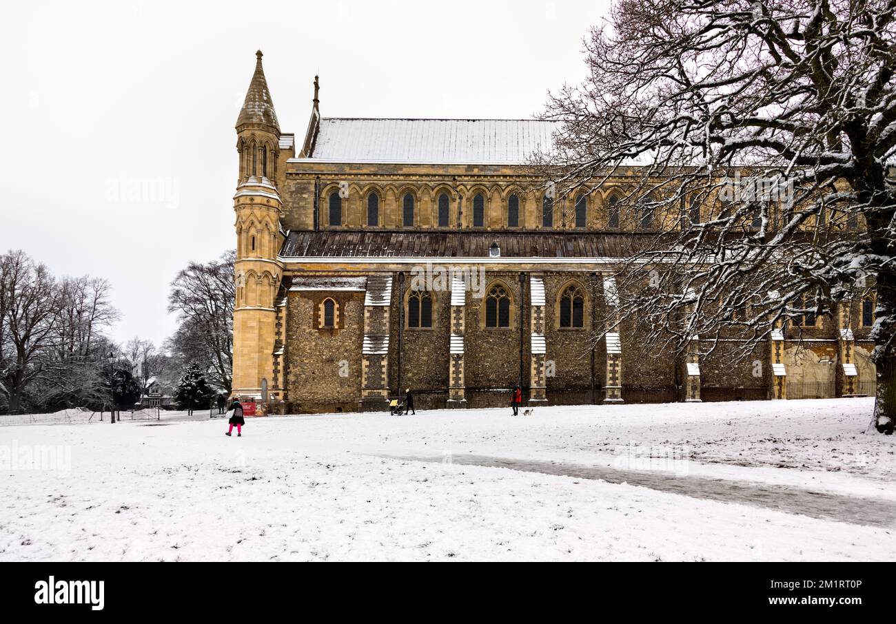 St. Albans Cathedral, also known as St. Albans Abbey, side elevation