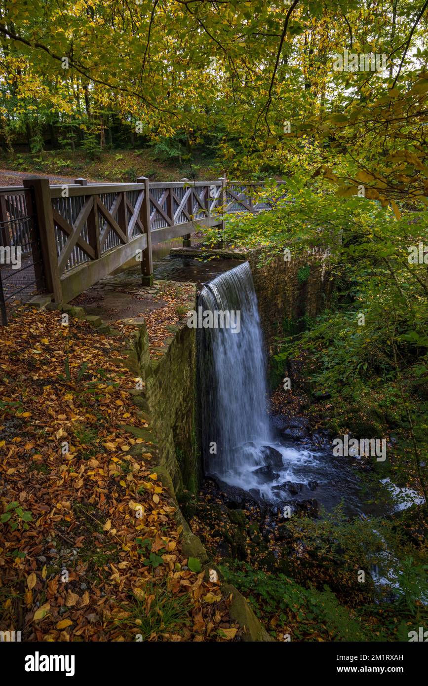 Autumn at Rhaeadr waterfall in the landscaped park of the Wales National Botanic Garden, Carmarthenshire, South Wales Stock Photo