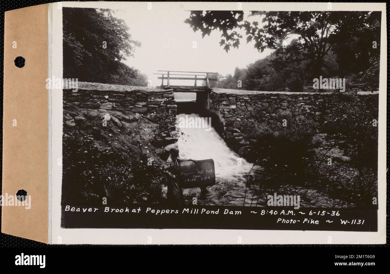 Beaver Brook at Pepper's mill pond dam, Ware, Mass., 840 AM, Jun. 15
