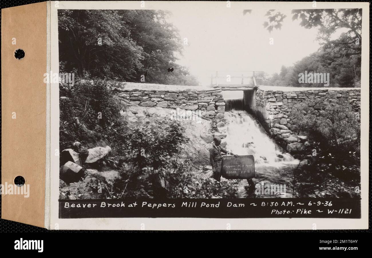 Beaver Brook at Pepper's mill pond dam, Ware, Mass., 830 AM, Jun. 9