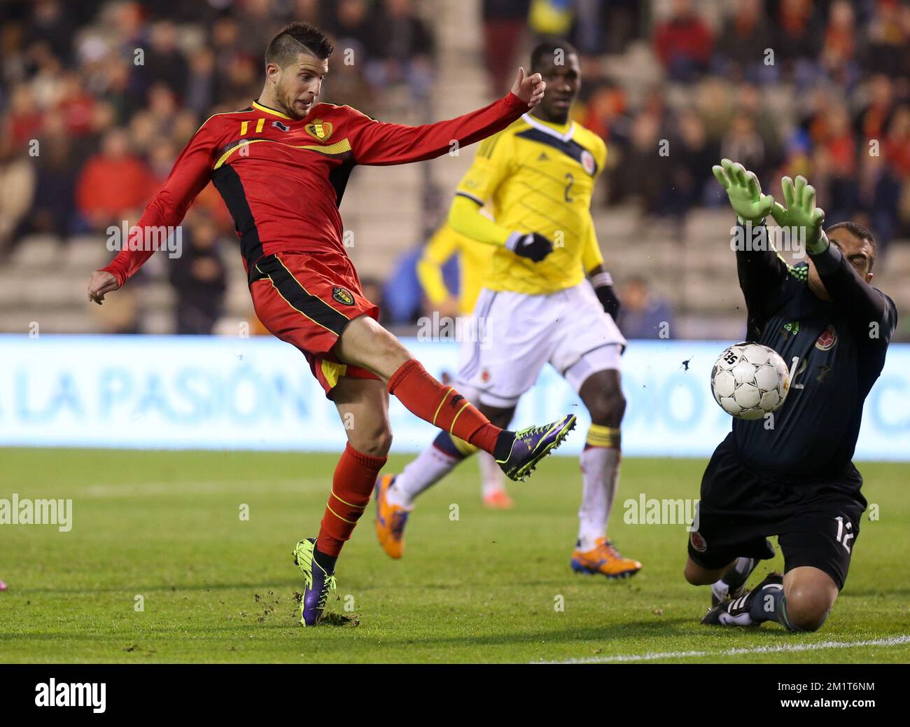 Colombia's goalkeeper Faryd Mondragon and Belgium's Kevin Mirallas fight for the ball during a friendly soccer game between the Belgian national soccer team Red Devils and Colombia, at the Koning Boudewijn Stadion - Stade Roi Baudouin in Brussels, on Thursday 14 November 2013. BELGA PHOTO VIRGINIE LEFOUR Stock Photo