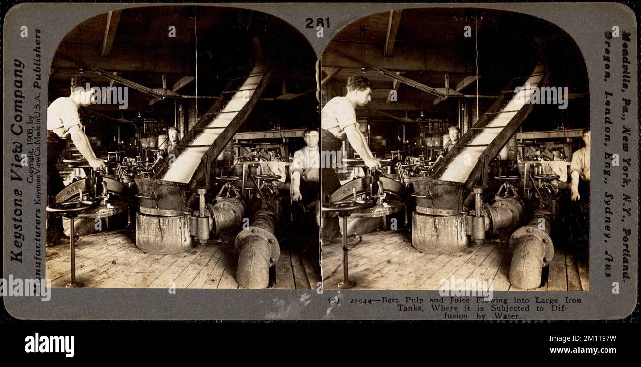 Beet pulp and juice flowing into large diffusion tanks. , Beets, Sugar