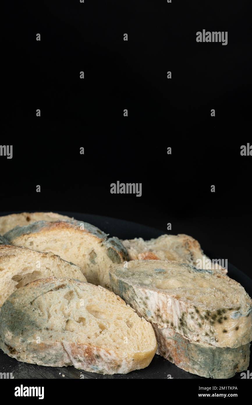 Black bread mold hi-res stock photography and images - Alamy