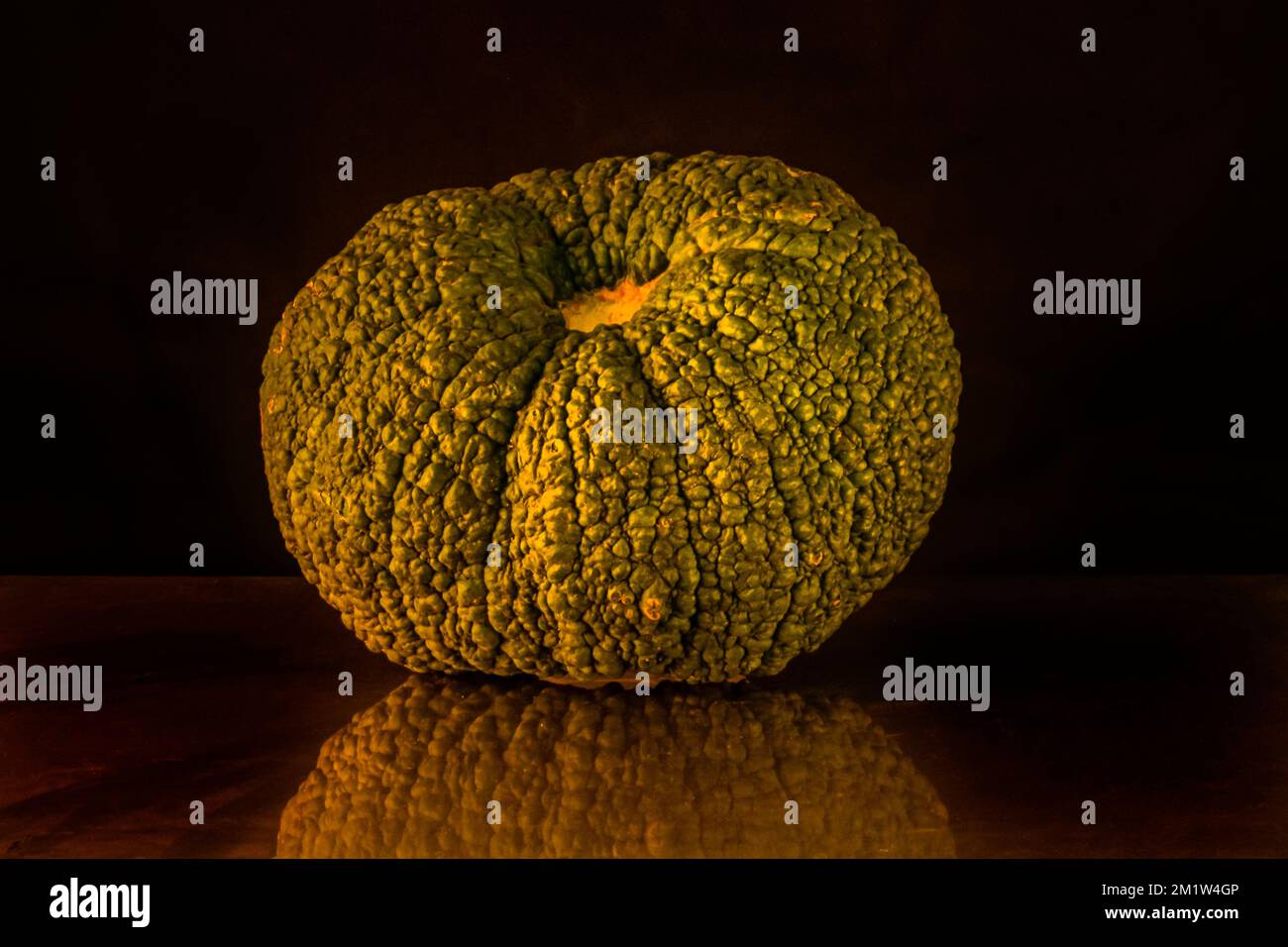 Pumpkin isolated, on black background Stock Photo - Alamy