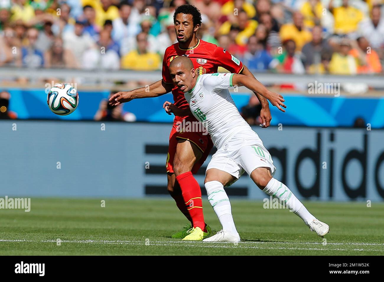 Belgium's Moussa Dembele and Algeria's Sofiane Feghouli fight for the ball during a soccer game between Belgian national team The Red Devils and Algeria in Belo Horizonte, Brazil, the first game in Group H of the first round of the 2014 FIFA World Cup, Tuesday 17 June 2014. Stock Photo