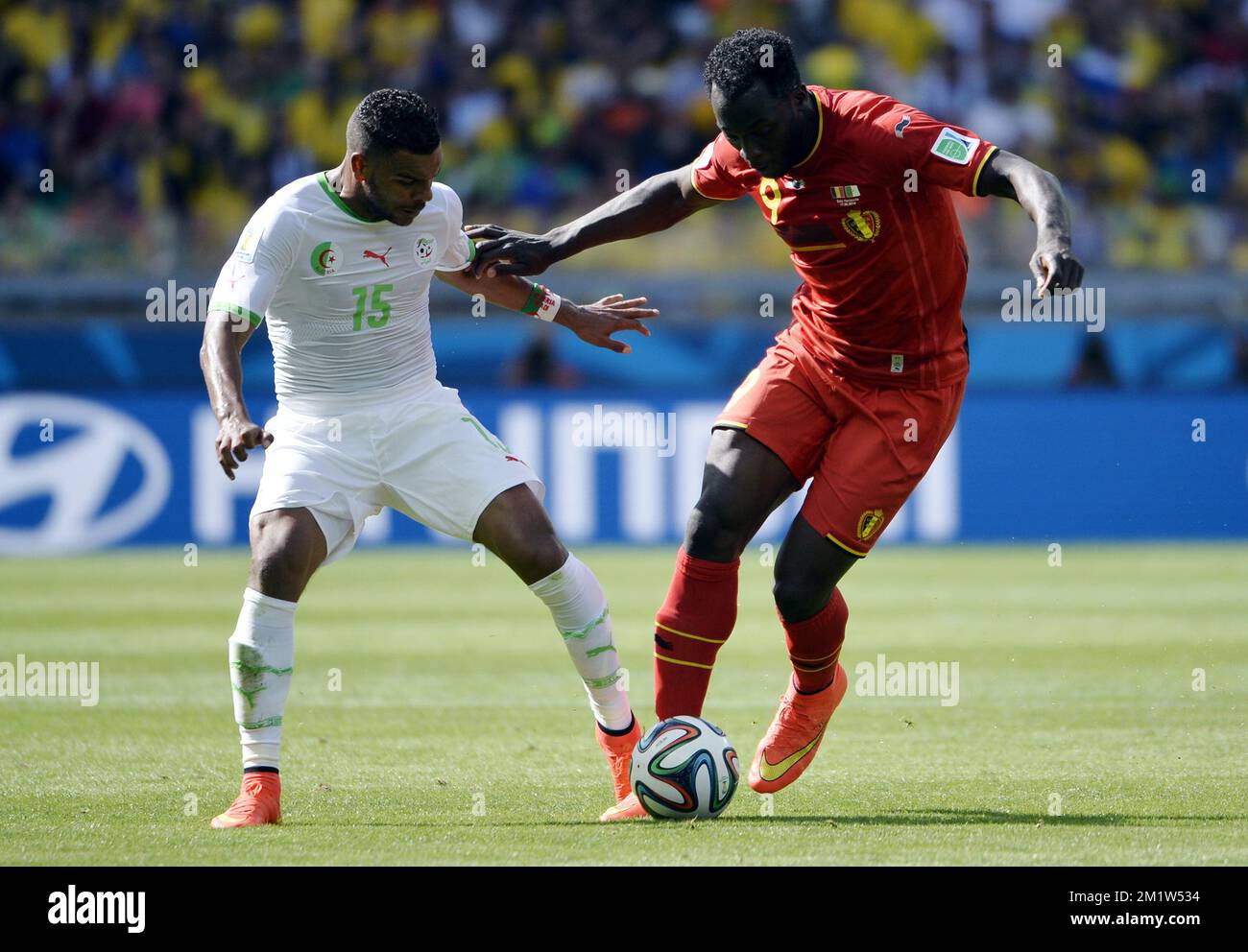 Algeria's El Arbi Hillel Soudani and Belgium's Romelu Lukaku fight for the ball during a soccer game between Belgian national team The Red Devils and Algeria in Belo Horizonte, Brazil, the first game in Group H of the first round of the 2014 FIFA World Cup, Tuesday 17 June 2014.  Stock Photo