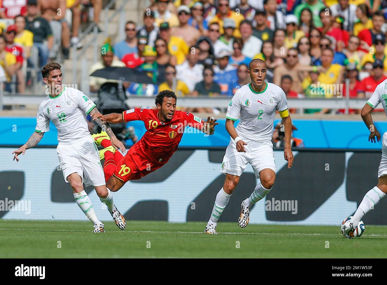 Algeria's Carl Medjani and Belgium's Moussa Dembele fight for the ball during a soccer game between Belgian national team The Red Devils and Algeria in Belo Horizonte, Brazil, the first game in Group H of the first round of the 2014 FIFA World Cup, Tuesday 17 June 2014. Stock Photo