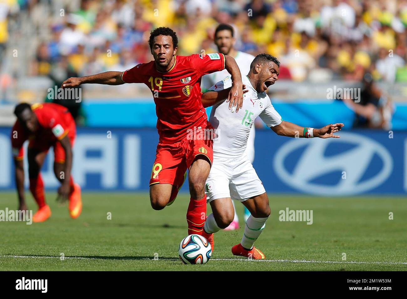 Belgium's Moussa Dembele and Algeria's El Arbi Hillel Soudani fight for the ball during a soccer game between Belgian national team The Red Devils and Algeria in Belo Horizonte, Brazil, the first game in Group H of the first round of the 2014 FIFA World Cup, Tuesday 17 June 2014. Stock Photo
