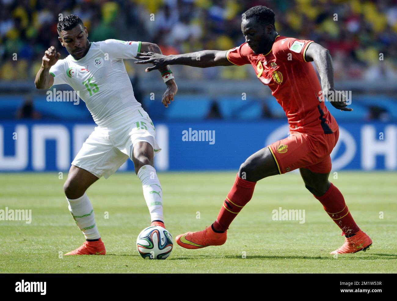 Algeria's El Arbi Hillel Soudani and Belgium's Romelu Lukaku fight for the ball during a soccer game between Belgian national team The Red Devils and Algeria in Belo Horizonte, Brazil, the first game in Group H of the first round of the 2014 FIFA World Cup, Tuesday 17 June 2014.  Stock Photo