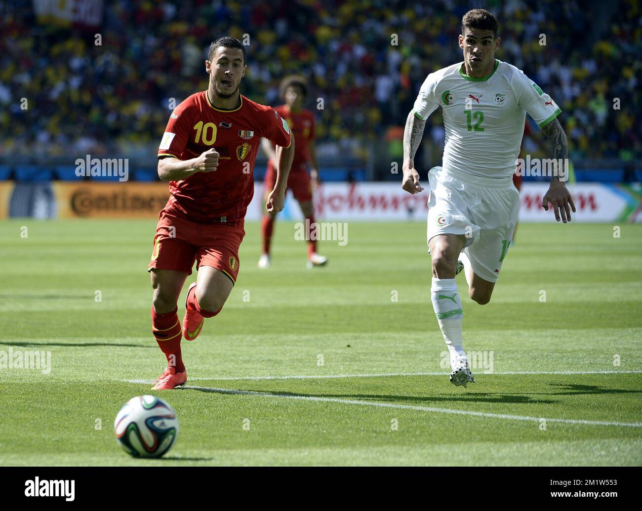 Belgium's Eden Hazard and Algeria's Carl Medjani pictured in action during a soccer game between Belgian national team The Red Devils and Algeria in Belo Horizonte, Brazil, the first game in Group H of the first round of the 2014 FIFA World Cup, Tuesday 17 June 2014.  Stock Photo