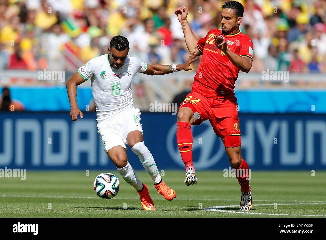 Algeria's El Arbi Hillel Soudani and Belgium's Nacer Chadli fight for the ball during a soccer game between Belgian national team The Red Devils and Algeria in Belo Horizonte, Brazil, the first game in Group H of the first round of the 2014 FIFA World Cup, Tuesday 17 June 2014. Stock Photo