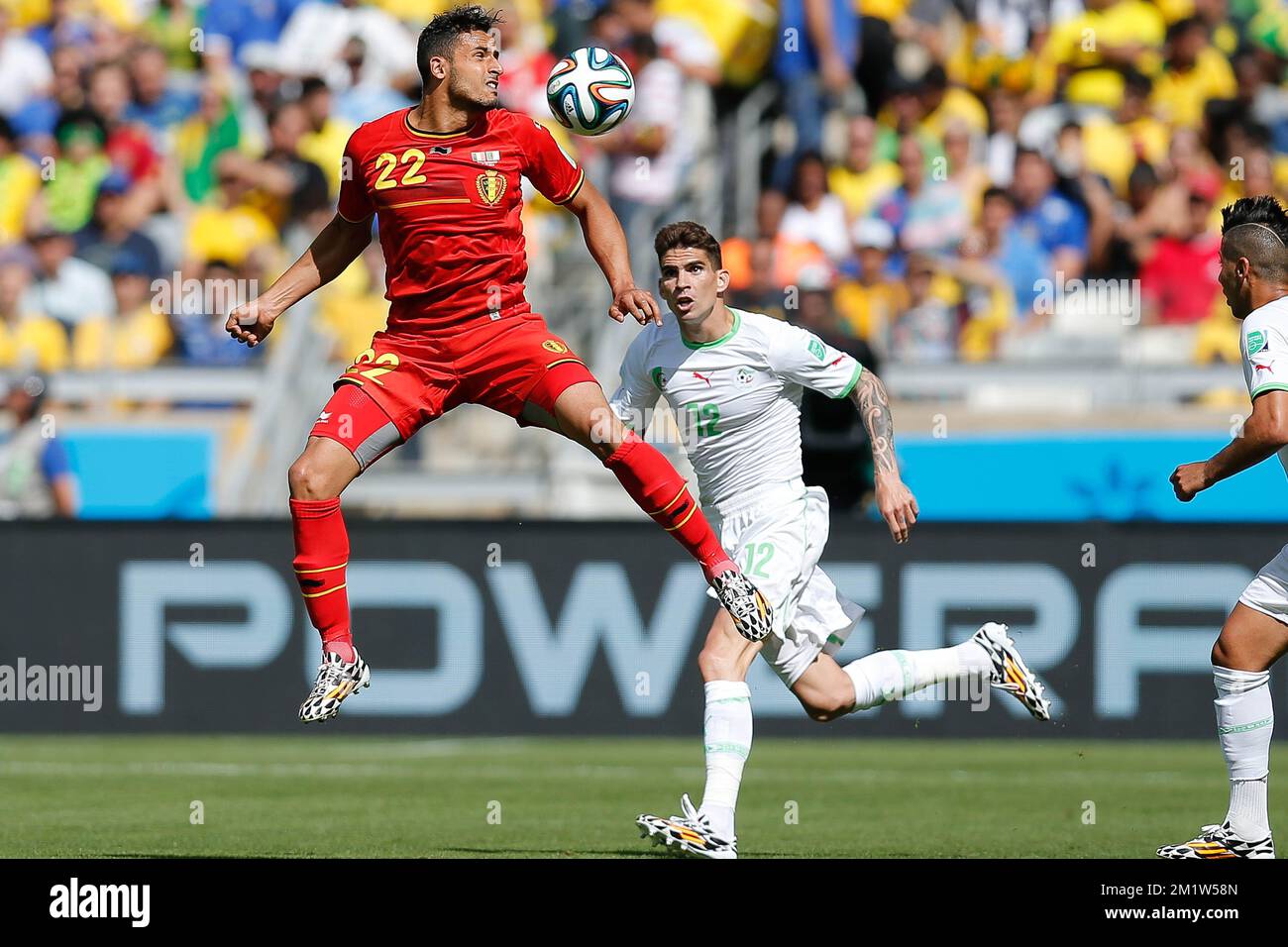 Belgium's Nacer Chadli and Algeria's Carl Medjani fight for the ball during a soccer game between Belgian national team The Red Devils and Algeria in Belo Horizonte, Brazil, the first game in Group H of the first round of the 2014 FIFA World Cup, Tuesday 17 June 2014. Stock Photo