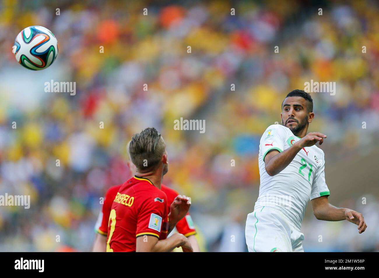Belgium's Toby Alderweireld and Algeria's Riyad Mahrez fight for the ball during a soccer game between Belgian national team The Red Devils and Algeria in Belo Horizonte, Brazil, the first game in Group H of the first round of the 2014 FIFA World Cup, Tuesday 17 June 2014. Stock Photo