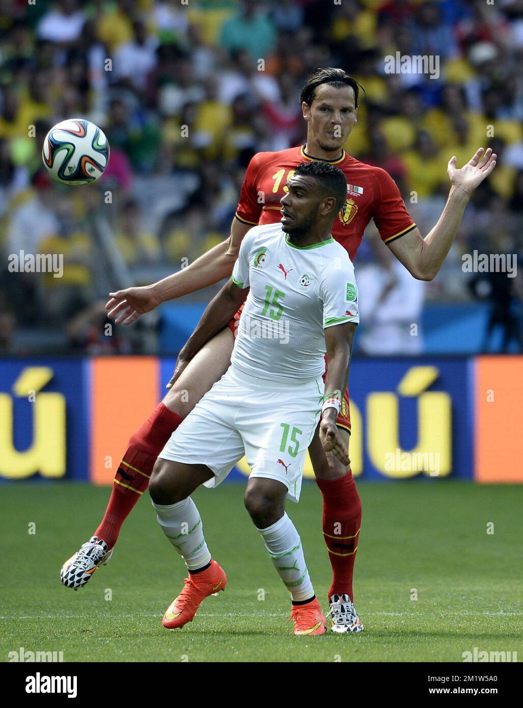Belgium's Daniel Van Buyten and Algeria's El Arbi Hillel Soudani fight for the ball a soccer game between Belgian national team The Red Devils and Algeria in Belo Horizonte, Brazil, the first game in Group H of the first round of the 2014 FIFA World Cup, Tuesday 17 June 2014.  Stock Photo