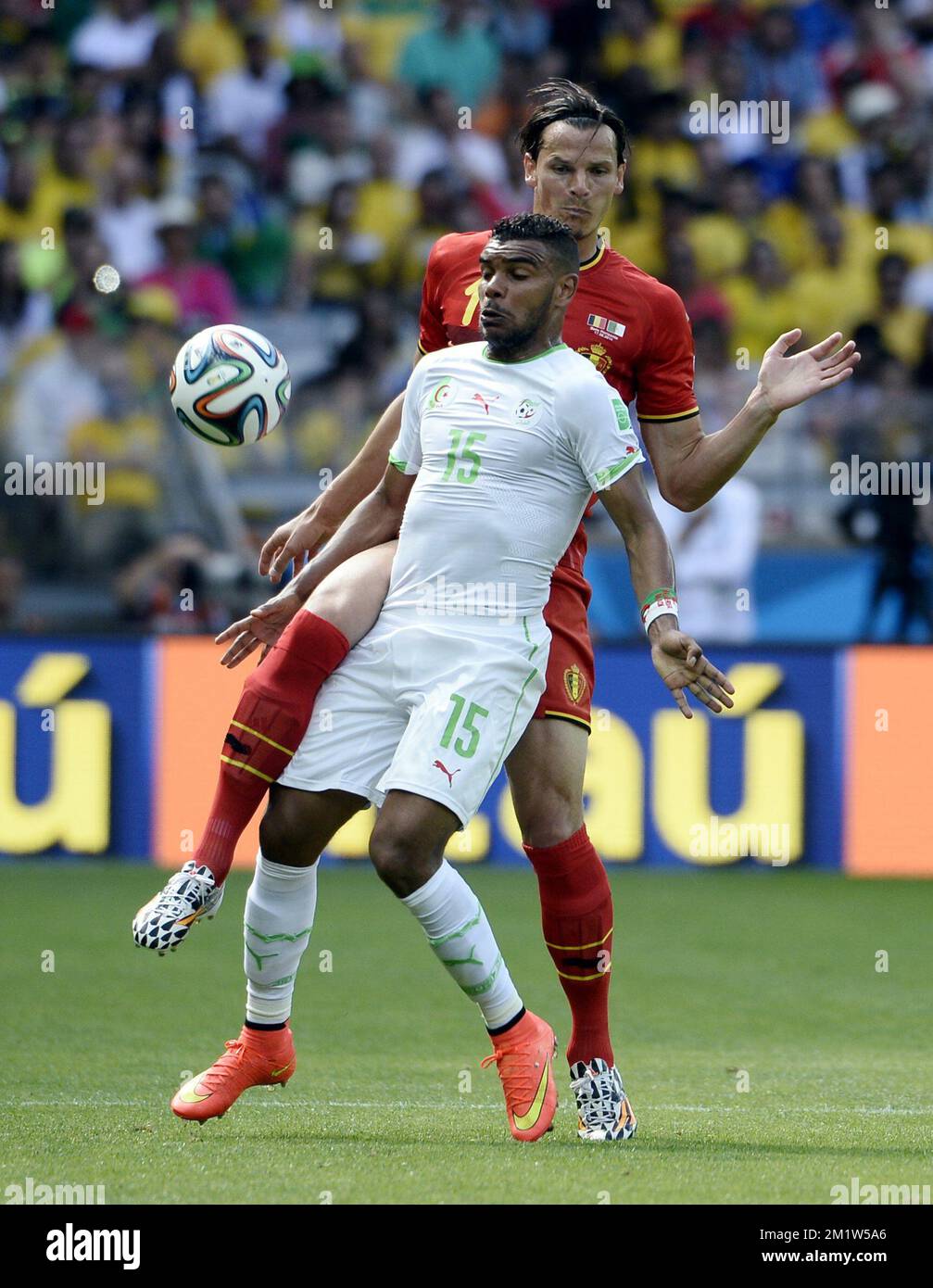 Algeria's El Arbi Hillel Soudani and Belgium's Daniel Van Buyten pictured in action during a soccer game between Belgian national team The Red Devils and Algeria in Belo Horizonte, Brazil, the first game in Group H of the first round of the 2014 FIFA World Cup, Tuesday 17 June 2014.  Stock Photo