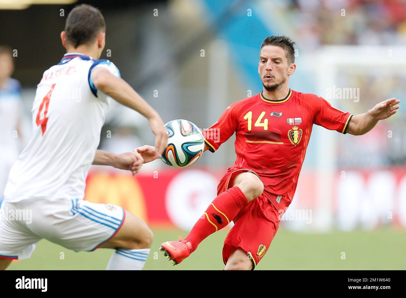 20140622 - RIO DE JANEIRO, BRAZIL: Russia's Sergei Ignashevich and Belgium's Dries Mertens fight for the ball during a soccer game between Belgian national team The Red Devils and Russia in Rio de Janeiro, Brazil, the second game in Group H of the first round of the 2014 FIFA World Cup, Sunday 22 June 2014. BELGA PHOTO BRUNO FAHY Stock Photo