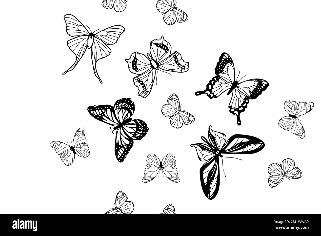 Black and white openwork butterfly pattern Stock Vector Image & Art - Alamy