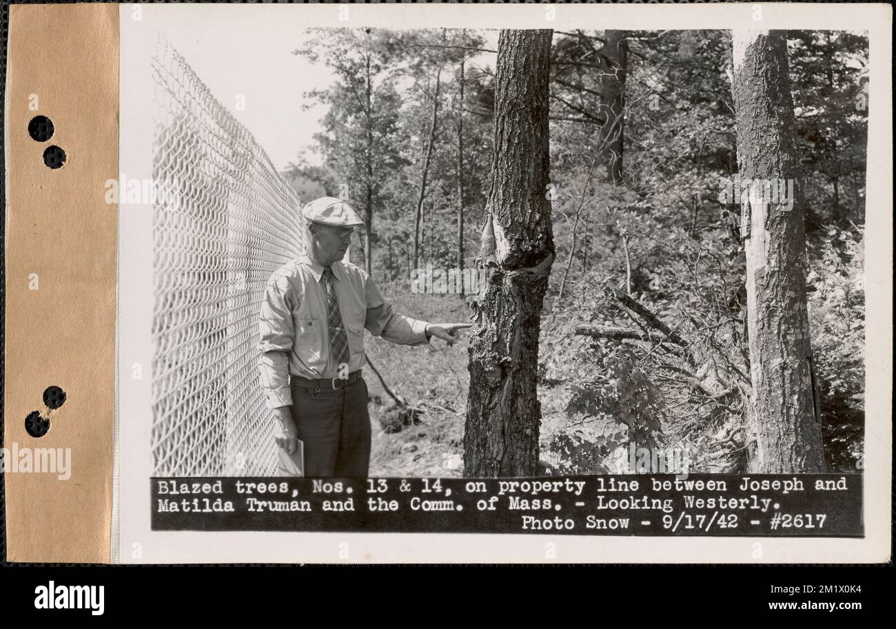 Blazed trees 13 and 14 on property line between Joseph and Matilda