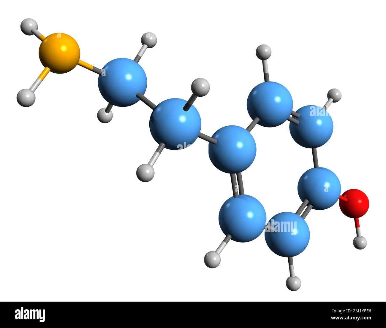 3D image of Tyramine skeletal formula - molecular chemical structure of  catecholamine releasing agent isolated on white background Stock Photo