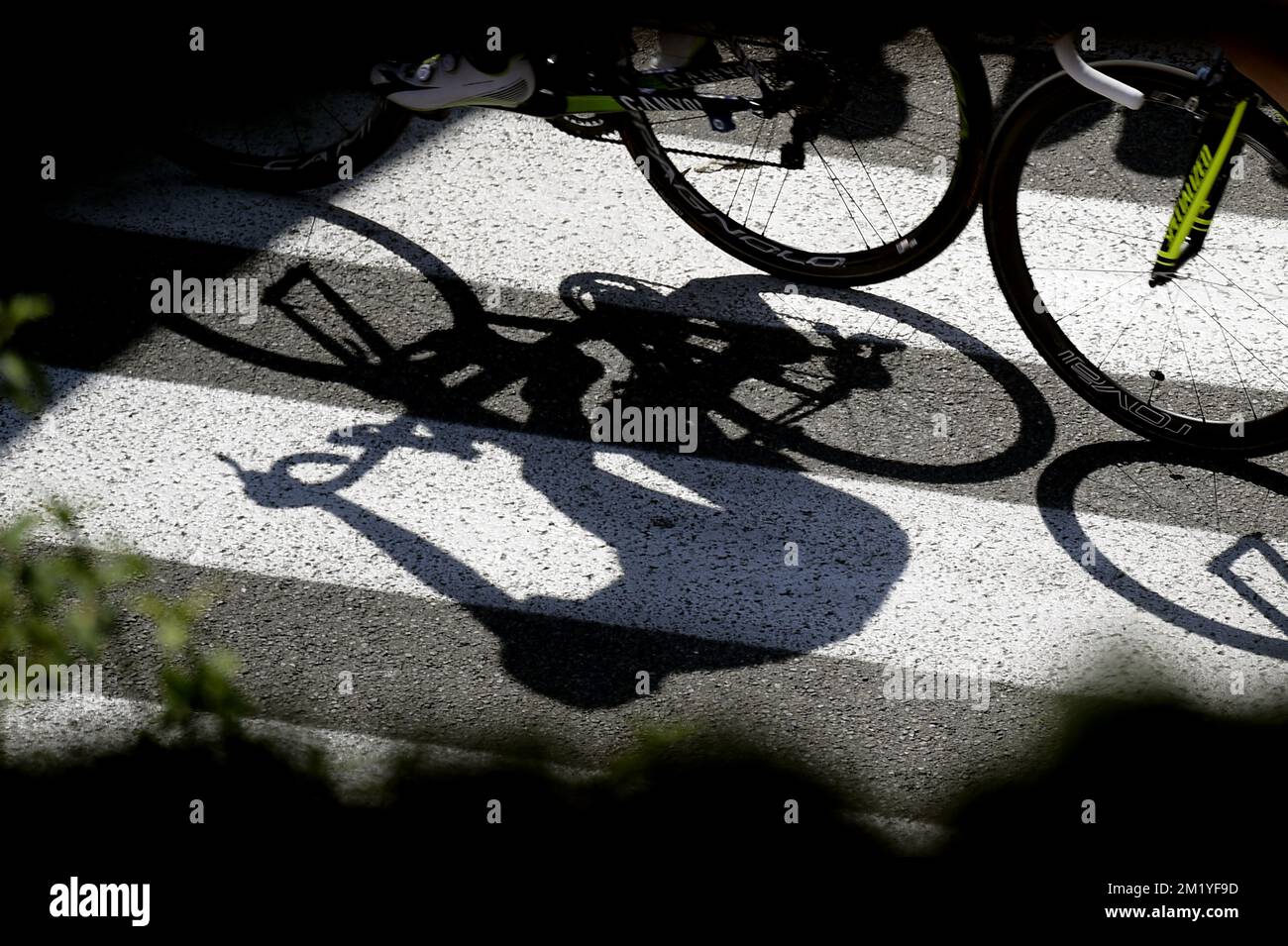Illustration picture shows the shadow of a rider during stage 11 of the 2015 edition of the Tour de France cycling race, 188 km from Pau to Vallee de Saint-Savin, Cauterets, France, Wednesday 15 July 2015. This year's Tour de France is taking place from 4 to 26 July.  Stock Photo
