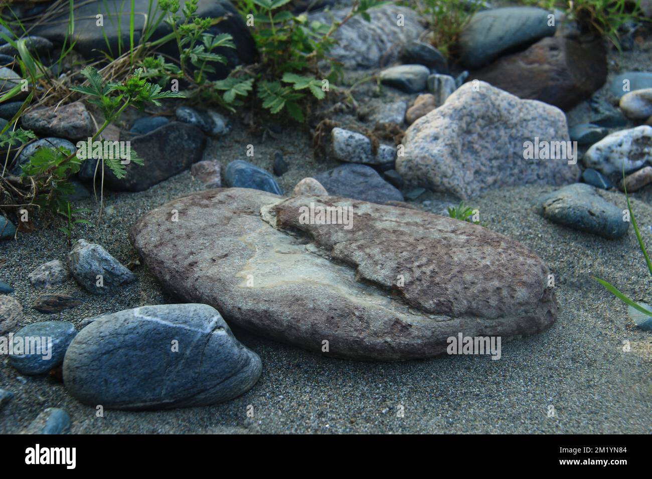 Moderately Rounded Sand Sand sizes hi-res stock photography and images - Alamy