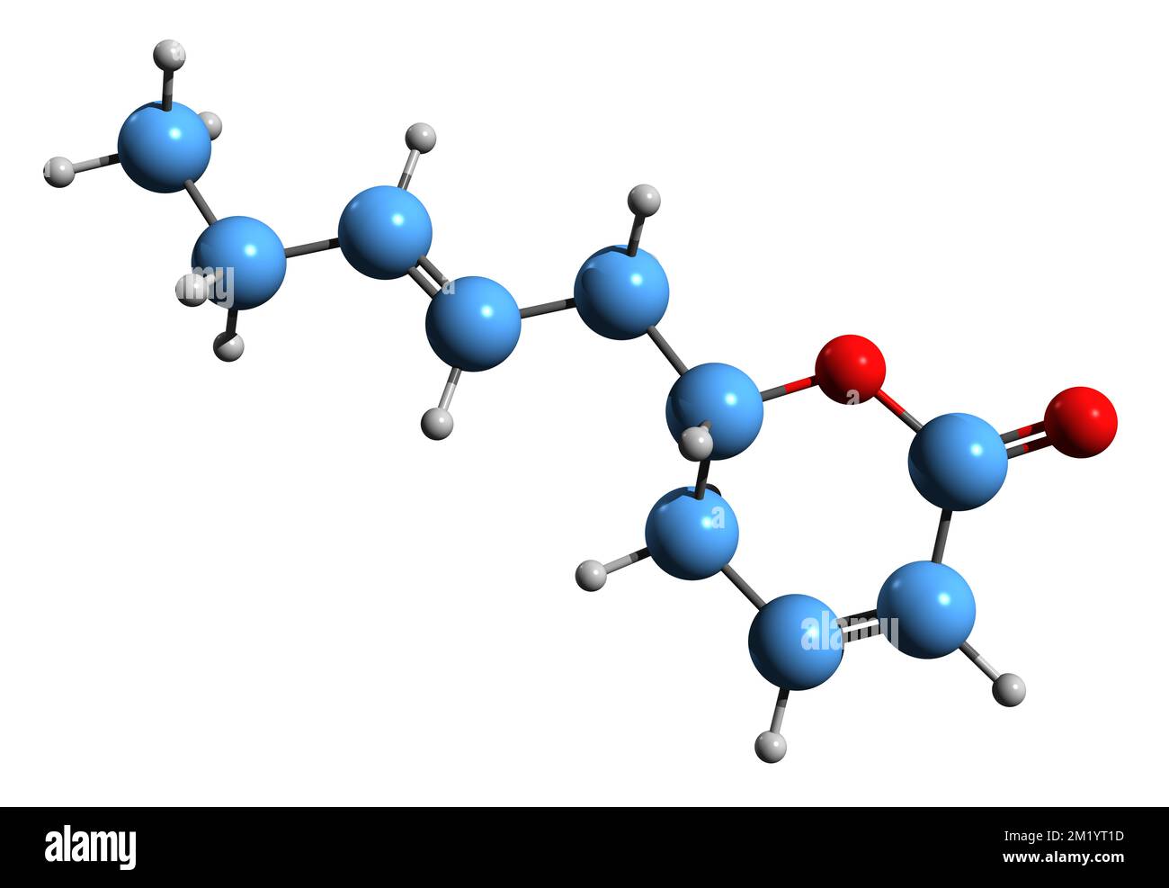 3D image of Tuberolactone skeletal formula - molecular chemical structure of phytochemical isolated on white background Stock Photo