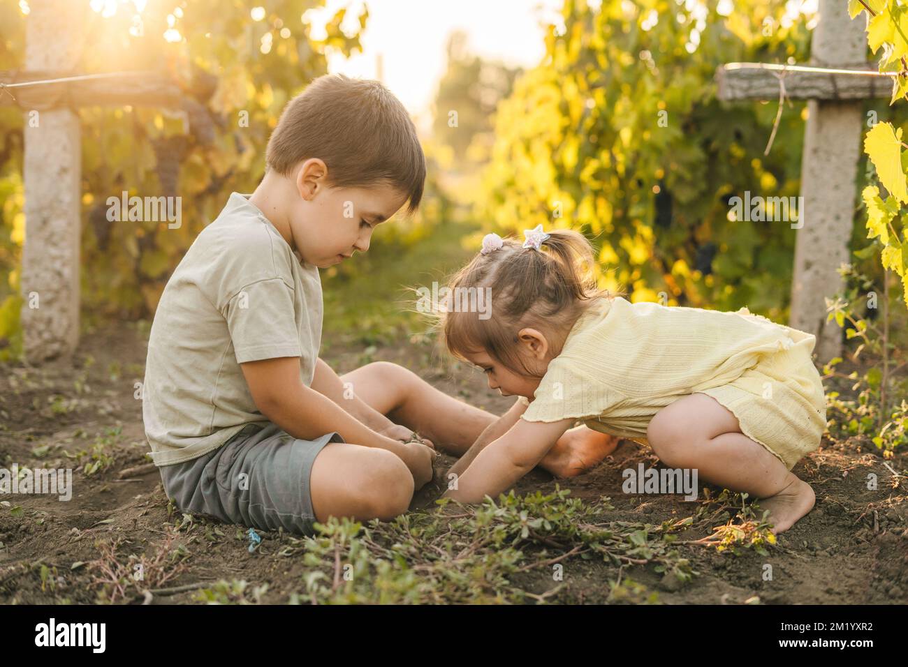 Two kids digging in soil and preparing soil for plant, sitting at sunset in the garden. Summer outdoor fun activity. Summer vacation fun. Agriculture Stock Photo