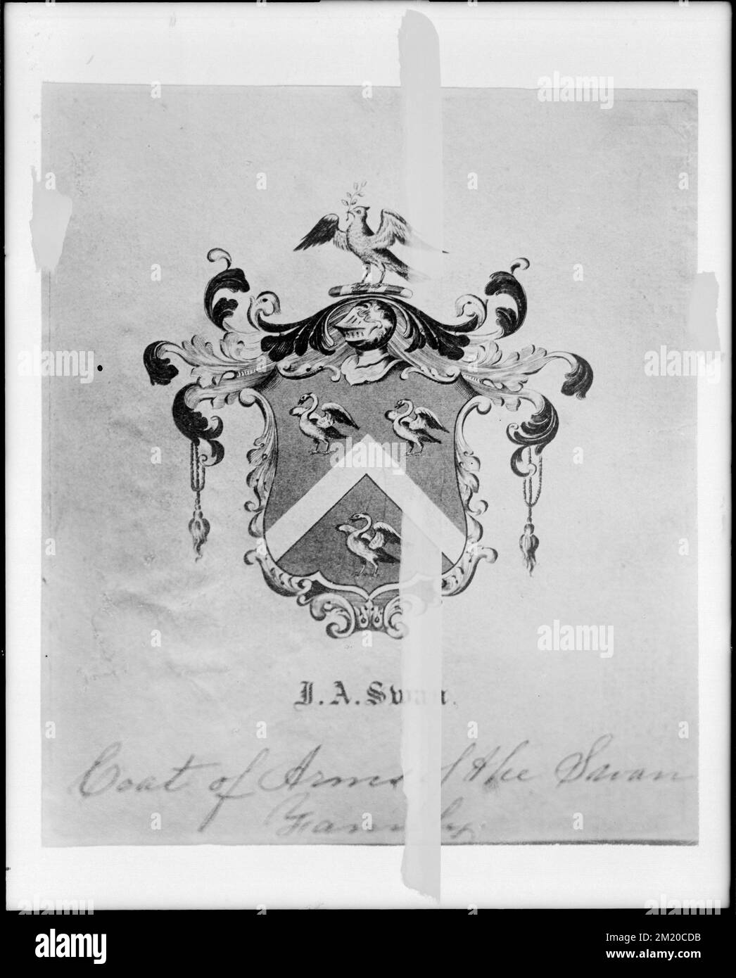 Bradley Coat of Arms, 72 Gardner Street, Allston, Mass. , Coats of arms