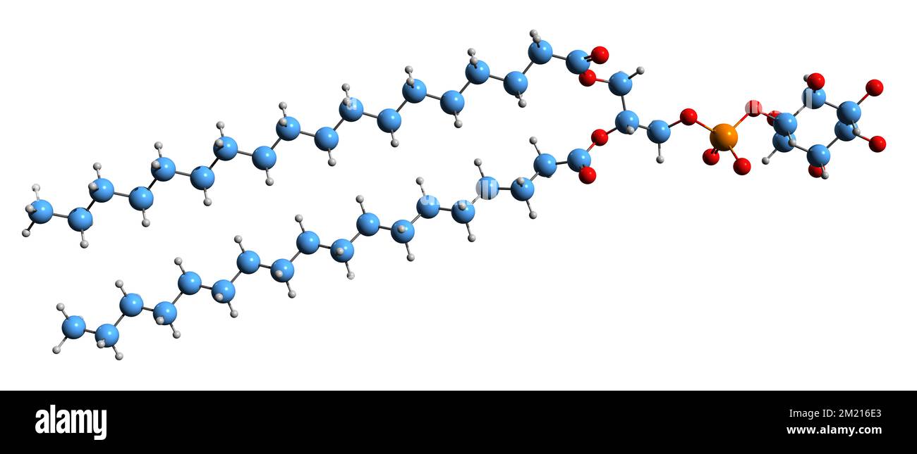 3D image of Phosphatidylinositol skeletal formula - molecular chemical structure of  Inositol Phospholipid isolated on white background Stock Photo