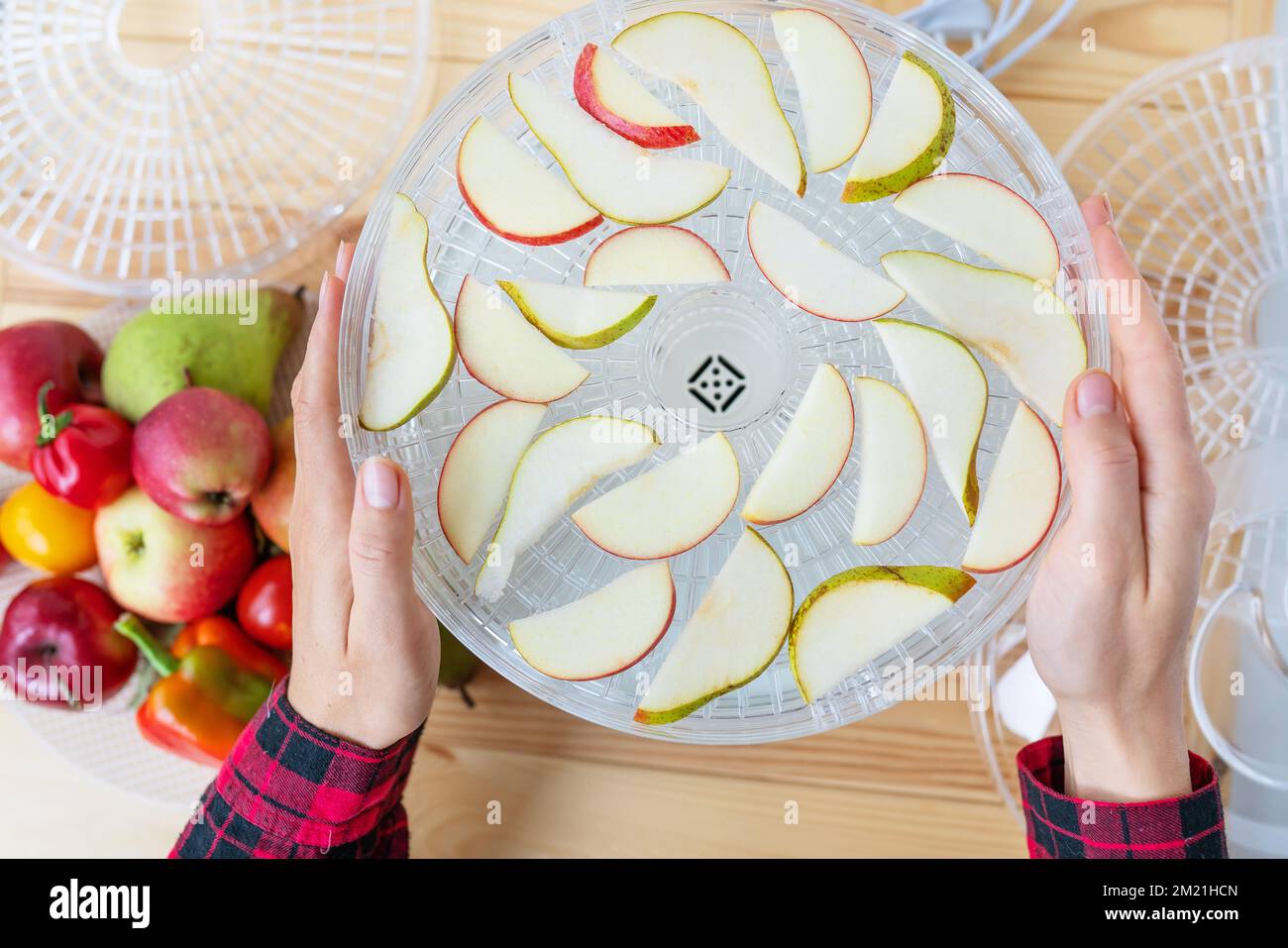 Electric drying machine for dehydrating products with horizontal