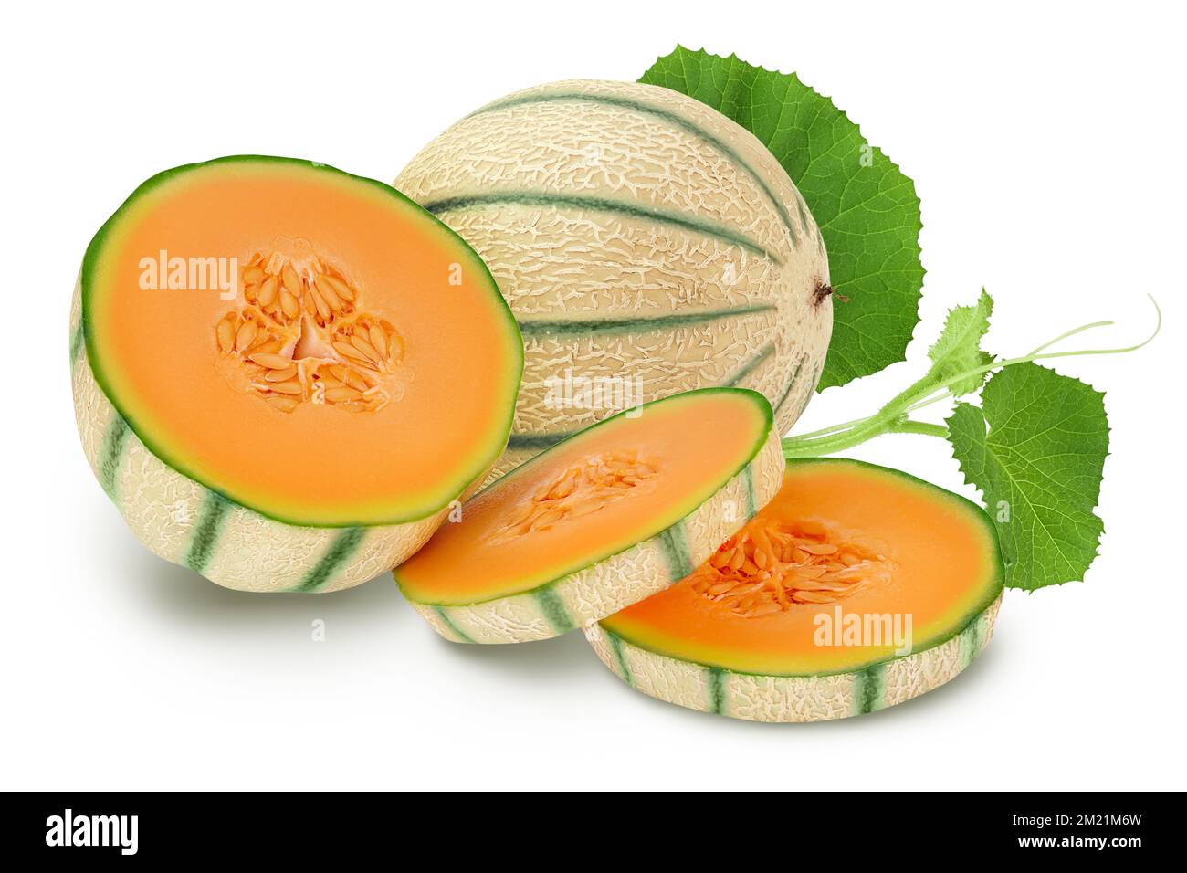 Cantaloupe melon isolated on white background with full depth of field, Stock Photo