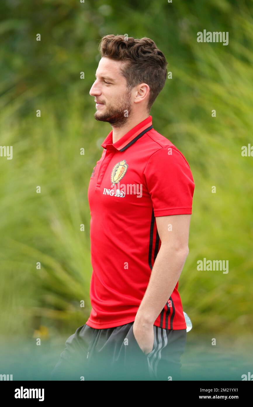 Dries mertens belgium hi-res stock photography and images - Page 14 - Alamy